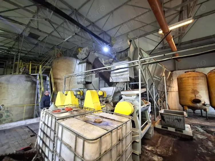 Crama de vanzare Odobesti -Vartescoiu - 8