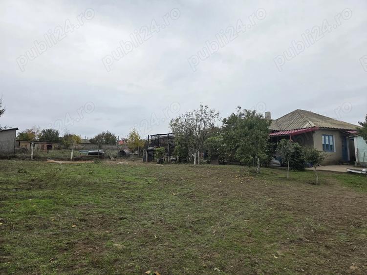 casa cu teren 3000 mp de vanzare Mahmudia - 5