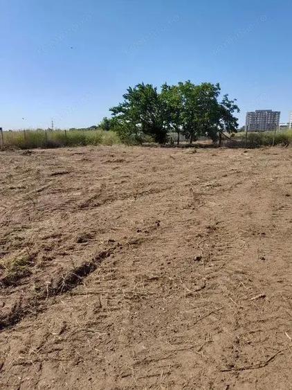 Teren Km5 Veterani -partea cu parcul - 2