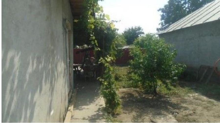 Casa si teren cota parte 1/2, Gropeni, ID: R2733382 - 12