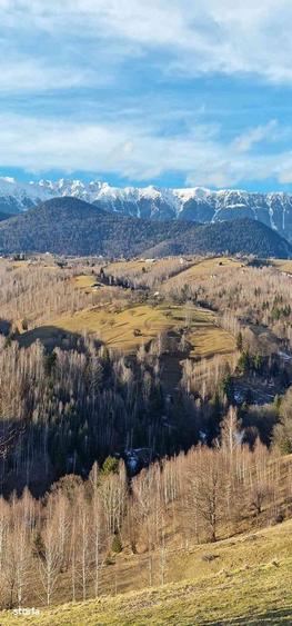 Particular, vand o proprietate absolut deosebita in Pestera - Bran - 3