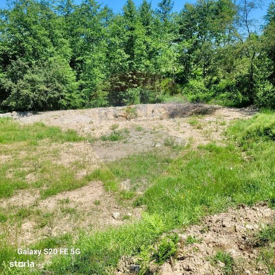 Oaza de liniste teren de vanzare 6.725 mp - 4