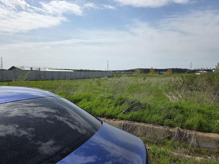 Cornetu, Buda, str. Scolii, teren vanzare - 4