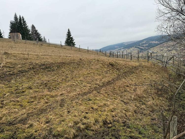 Teren Intravilan Vatra Dornei - 2833 mp - 5