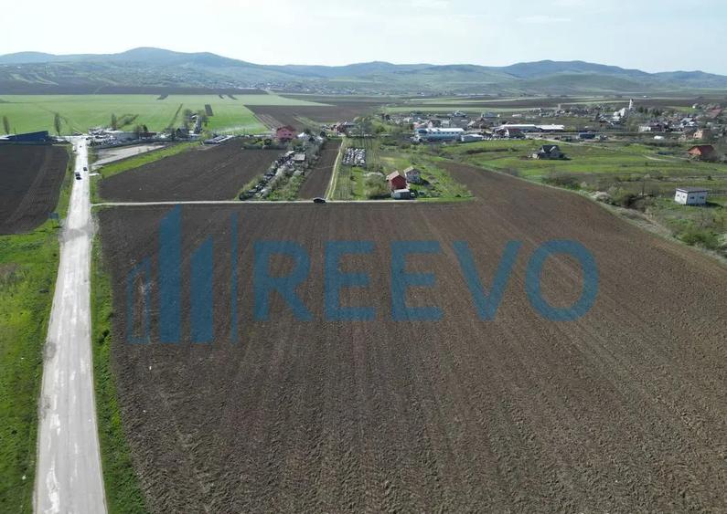 Teren de vanzare, Com. Nicolae Balcescu, Jud. Bacau - 5