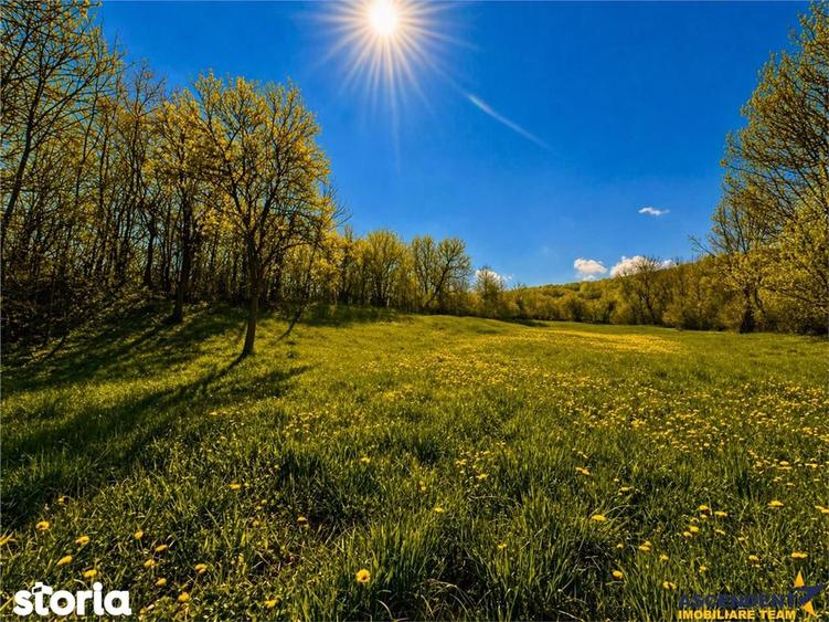 Casa traditionala,zona pitoreasca,domeniu de 3.400 mp,Suveica,Acatari, - 11