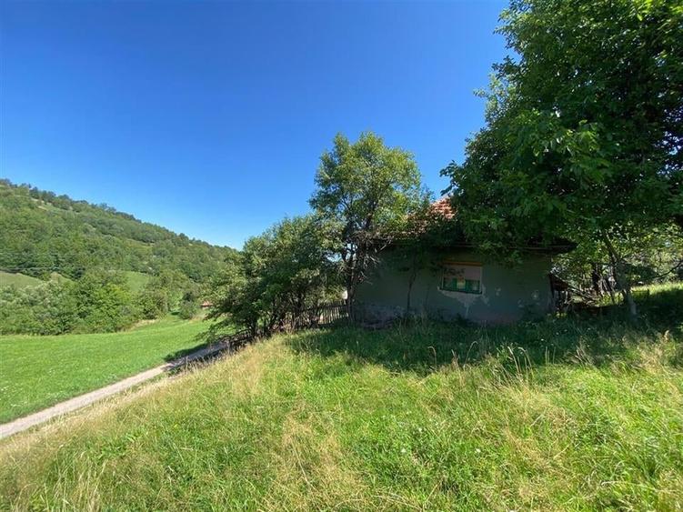 RECO Casa cu teren in Damis zona Valea Bratcutei - 3