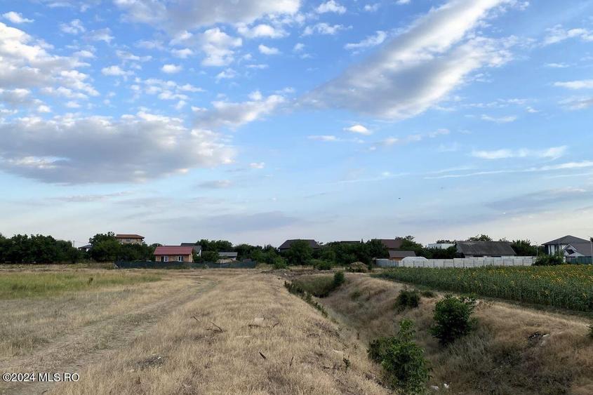 Tamasi, langa padure, 12.824 mp, deschidere 45 ml, teren cu potential! - 3