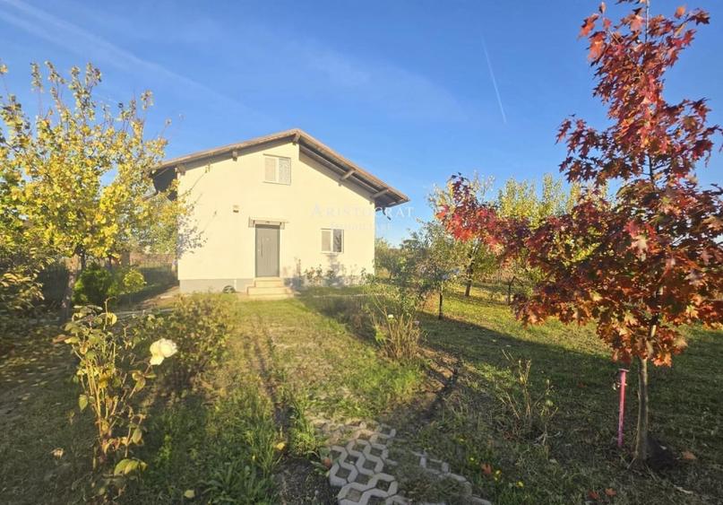 Casa 3 camere si curte cu pomi fructiferi - 1