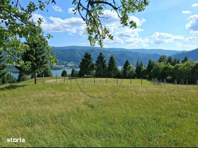 Teren Colibita 1346 mp - 3