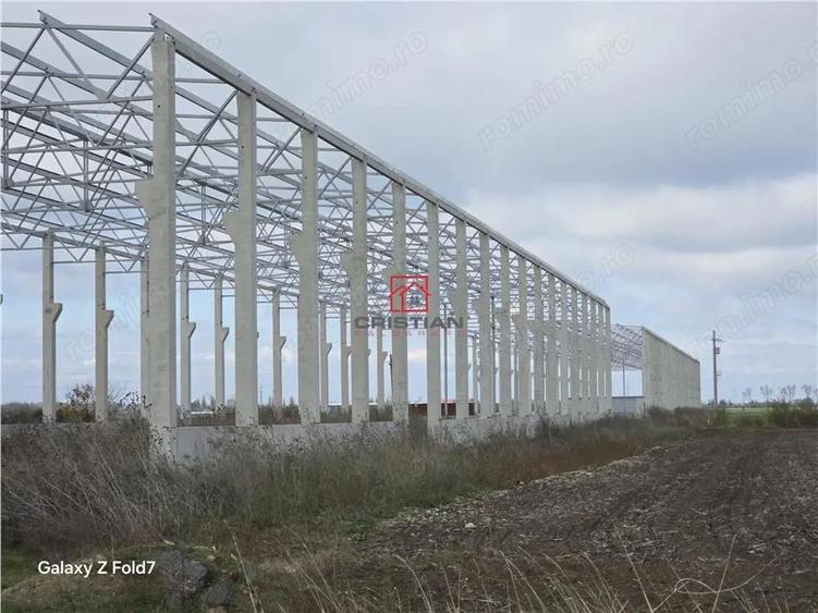 Inchiriere depozit hala spatiu industrial Mogosoaia - Buftea - 7