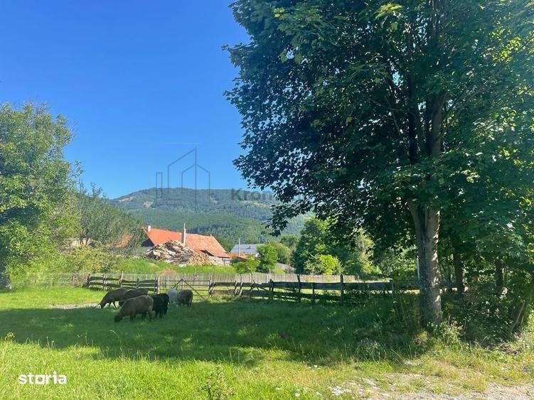 Teren Moieciu de Jos - 4