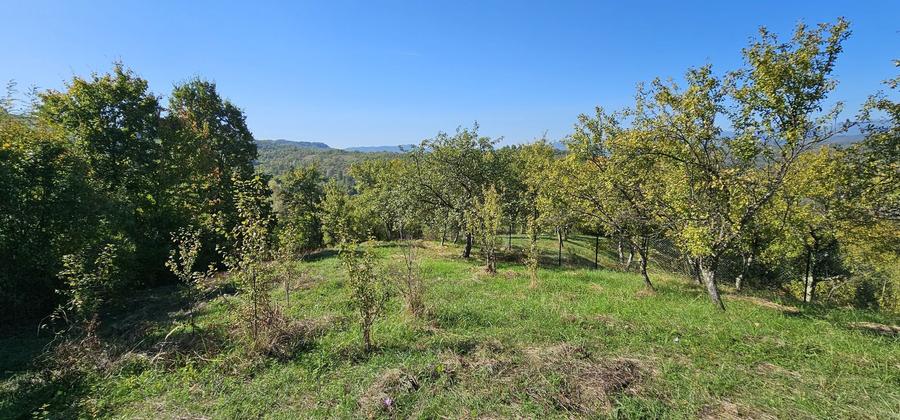 Teren de vanzare In Berislavesti - Calimanesti 4000mp - 3