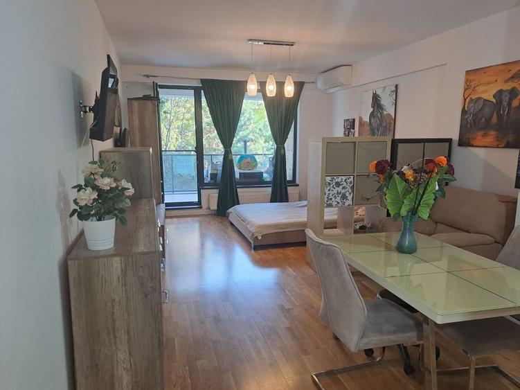 De inchiriat Apartament cu o camera Erou Iancu Nicolae - 7