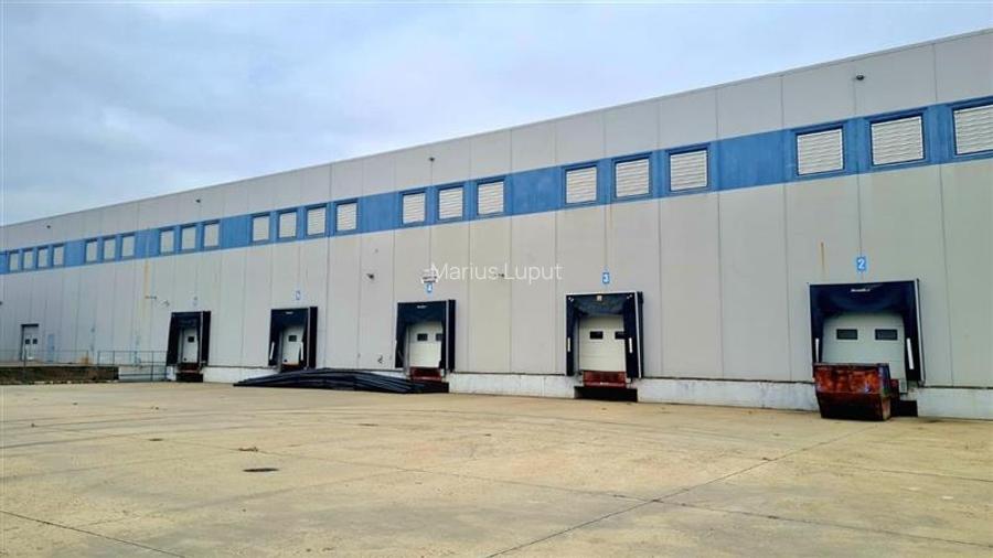 Hala industriala 6000mp, curent 1MW, Timisoara Vest Hala industriala 6000mp, curent 1MW, Timisoara Vest