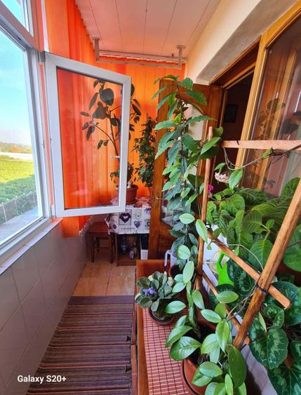 Apt 3 cam Harsova - 3