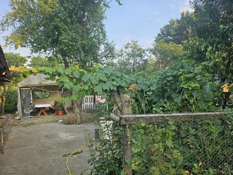 Casa de vanzare + teren ieftina - 6