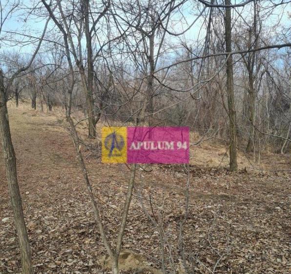 Teren intravilan de vanzare in Cornu de Jos - 3