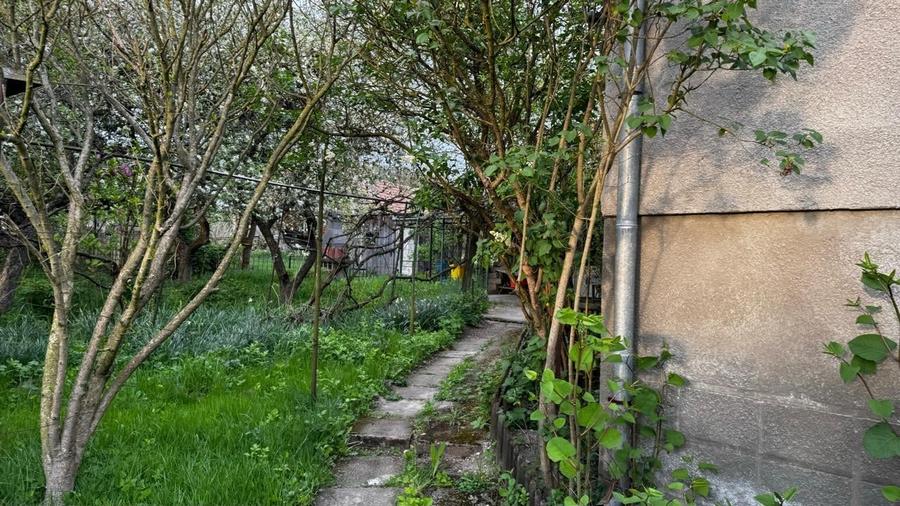 Teren de vanzare 8114 mp si  casa   in Coroisanmartin-Mures - 4