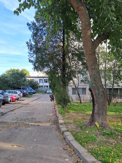 OCAZIE, GARA - ABATOR 2 CAMERE 50 MP. LIBER GAZE LA USA PRET 74.900 EURO - 6