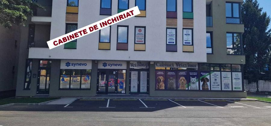 INCHIRIERE Cabinete/Birouri imobil nou - 10