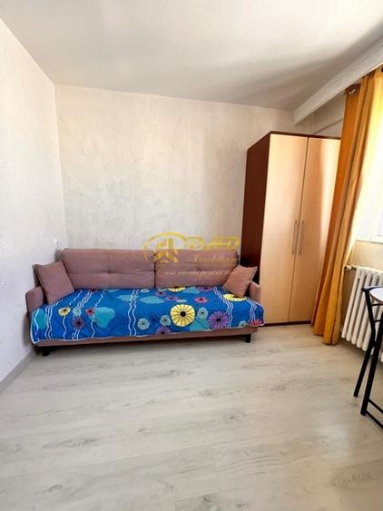 Camera Camin Bularga, Mihail Sturdza - 1