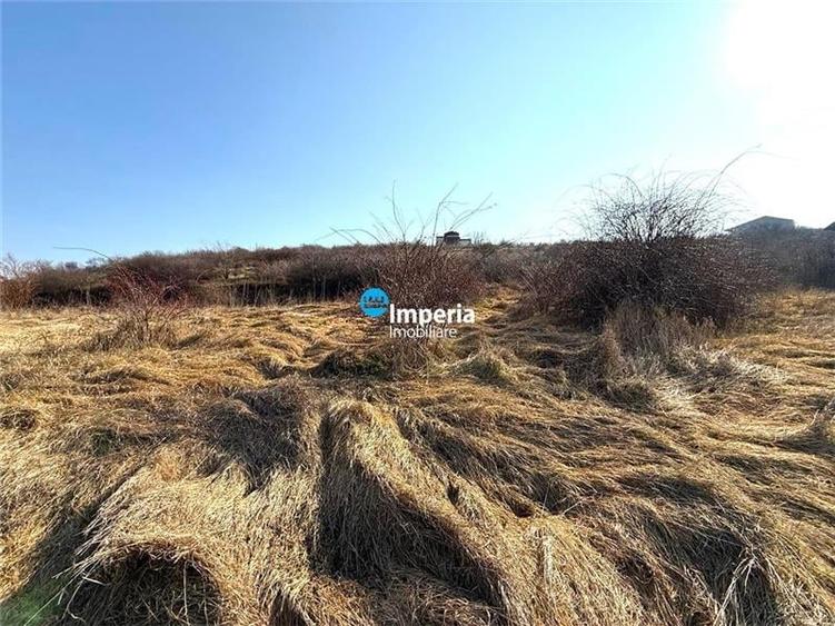 Teren intravilan 1000 mp, lac, priveliste panoramica Hlincea Iasi - 2