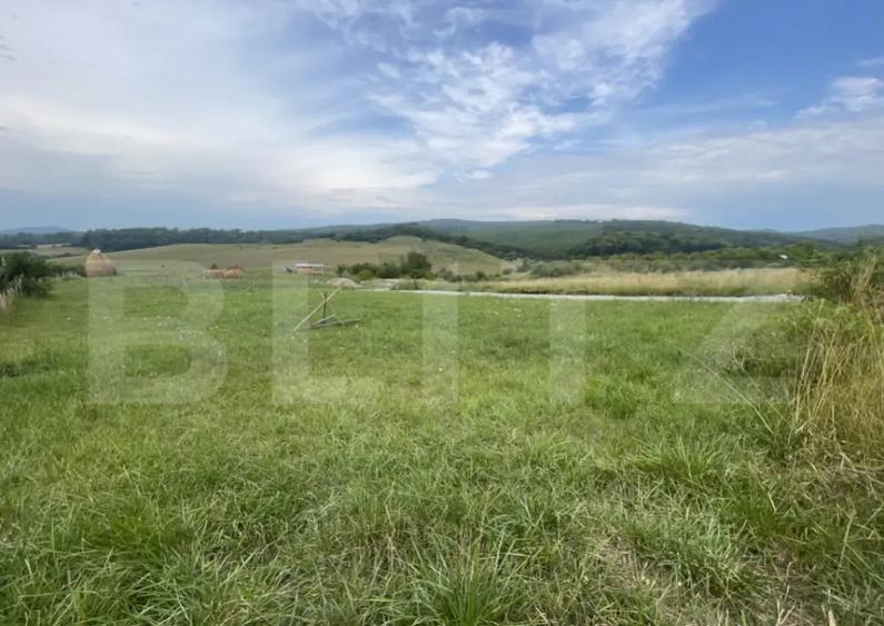 Teren de vanzare zona Subcetate, aproape de str. Tarp - 4