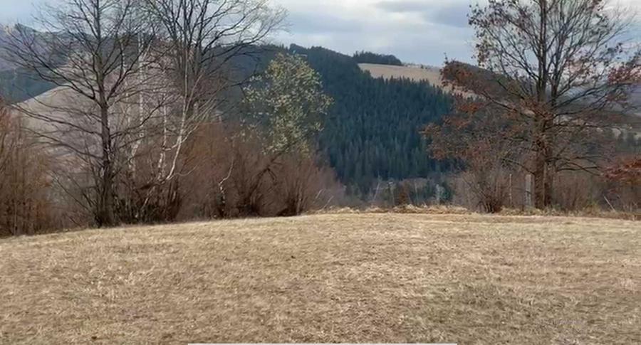 Teren cu vedere panoramica la Toaca si lacul Bicaz BUHALNITA, NEAMT - 2