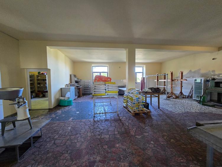 Cenad-Posibilitate Afacere-casa si 669mp teren-Ultracentral - 5