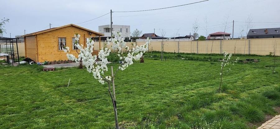 Teren langa Academia Titi Aur - 10