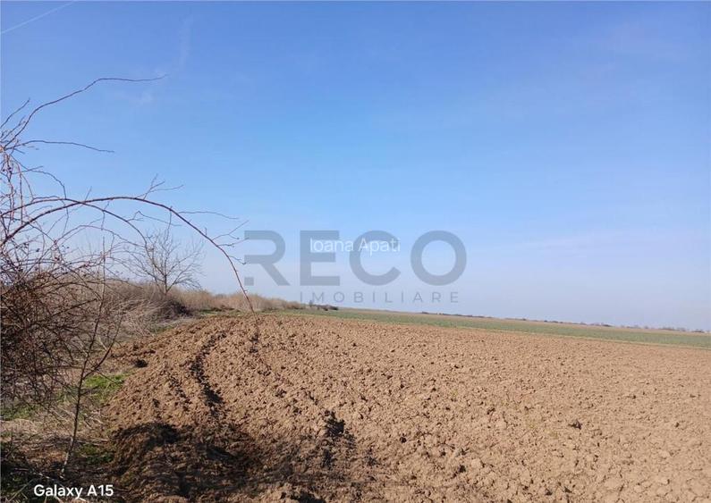 RECO Teren intravilan aproape de zona industriala Biharia