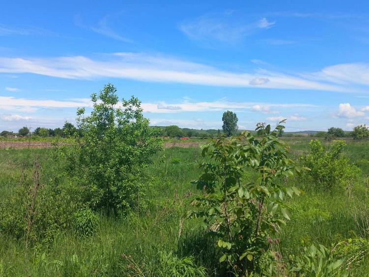 Vand Teren cu Front Stradal in Cartierul Tineretului - 1