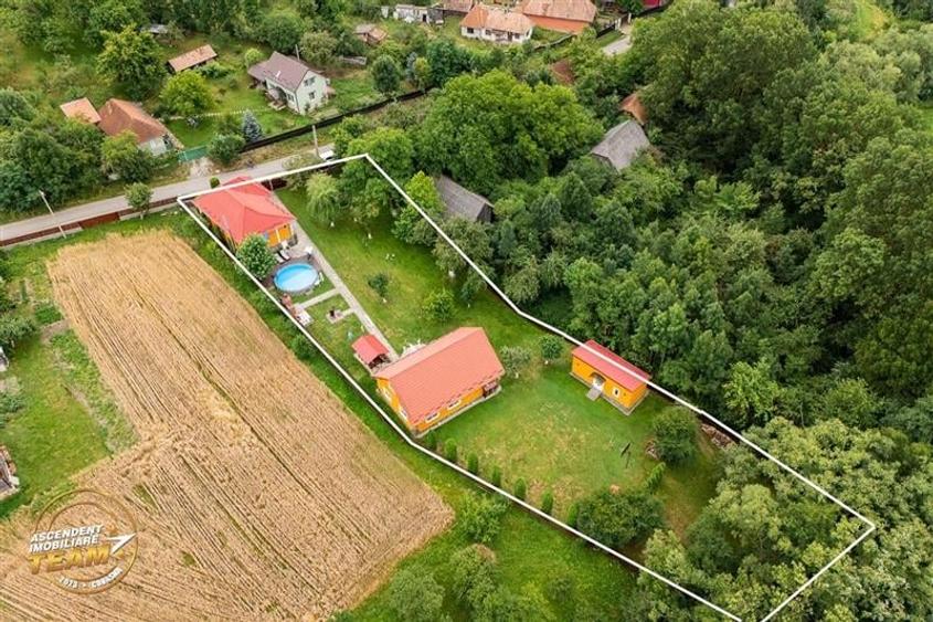 FILM&3D! Doua case cu:piscina,foisor,arbori decorativi,1.700mp teren,Lutoasa,Cov - 29