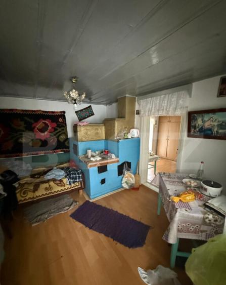 Casa batraneasca, 65 mp si teren intravilan 5600 mp, Adancat - 10