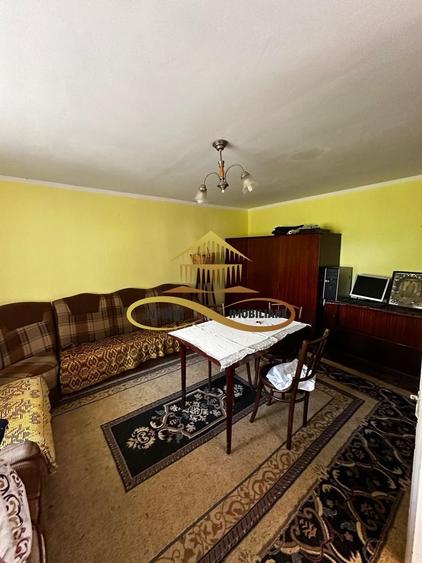 Casa batraneasca cu 2ha de teren de vanzare in sat Balaia / Bacau - 19