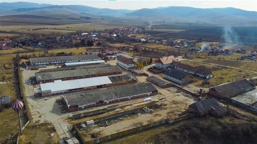 Ansamblu agrozootehnic cu renume,dotat +valoare exceptionala+potential versatil, - 22