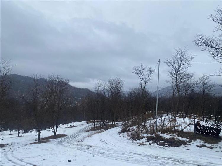 TEREN VALEA DOFTANEI - 6