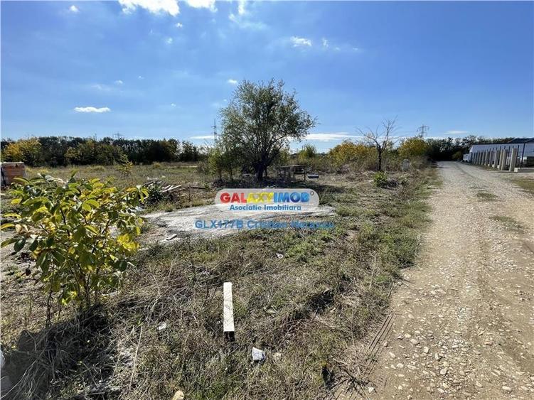 Gulia Tartasesti Str Samurcasi 482 mp deschidere 25 ml - 8