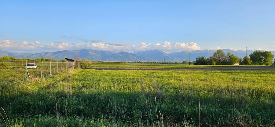 Vand casa P+M si teren 1300 mp - 5