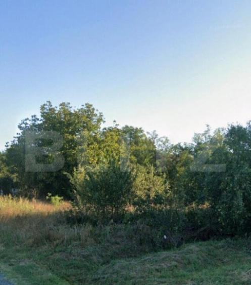 Teren 3994 mp, zona metropolitana Simnicul de Sus - 1