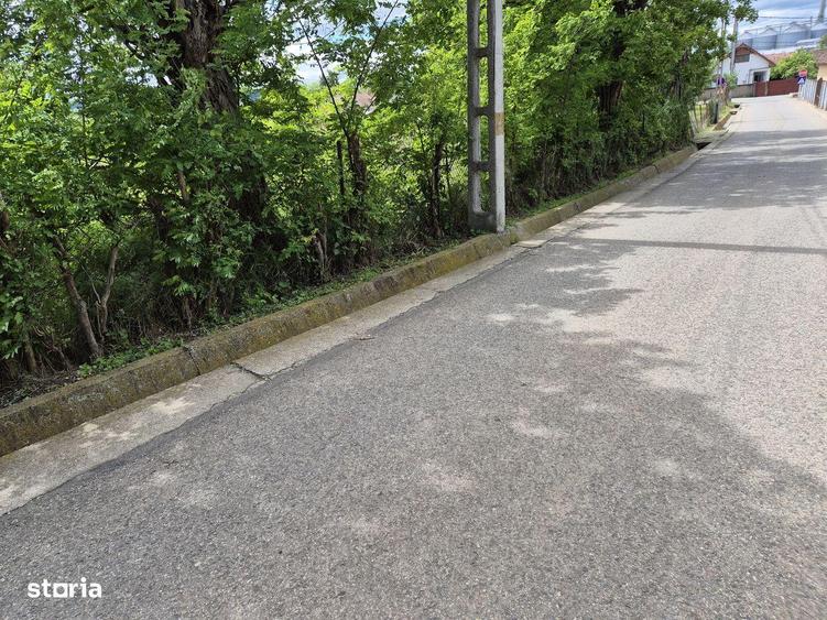 Teren intravilan de vanzare (1412 mp) in Santimbru - 1