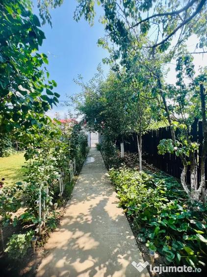 Casă cu 2 camere în Bălăceanca