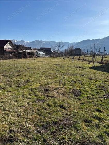 Casa in Leordina cu trei camere si 15ari de teren aproape de centru - 9