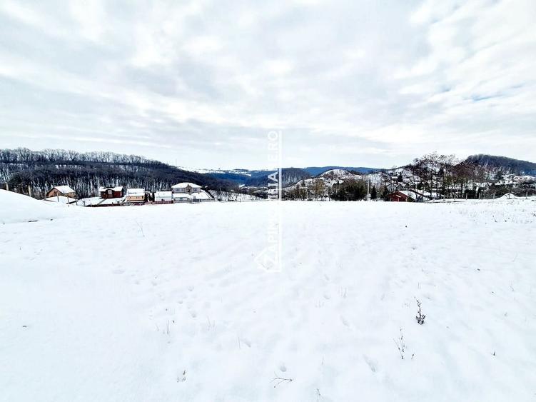 Teren intravilan 1.500 mp. Corunca Valea Iubirii 65 euro mp - 2