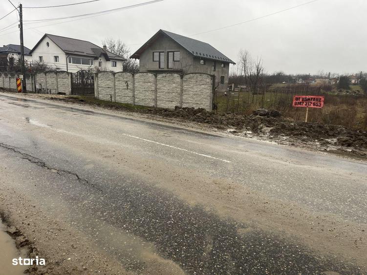 Teren Bradu 907 mp - 4