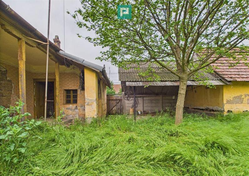 Casa de reabilitat pe teren generos- Comuna Varia? - 6