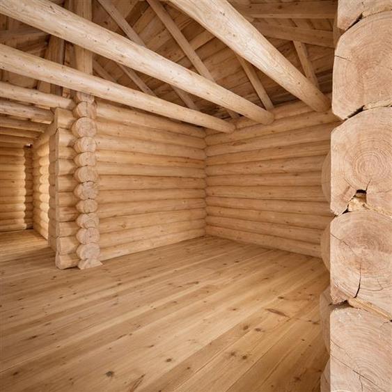 3.000mp de incantare montana cu cabana din lemn masiv, Zarnesti Tohanita - 9