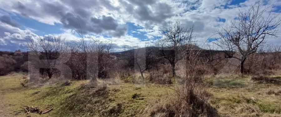 Teren extravilan 2500 mp - 1