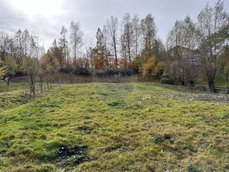 Teren de Vis in Bran - 1000mp Plat, Liniste Absoluta si Aer Curat - 20